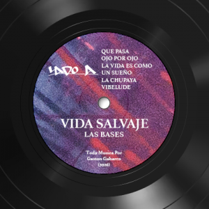 lado-A_vinilo2