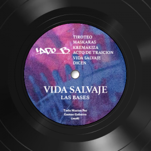 lado-B_vinilo2